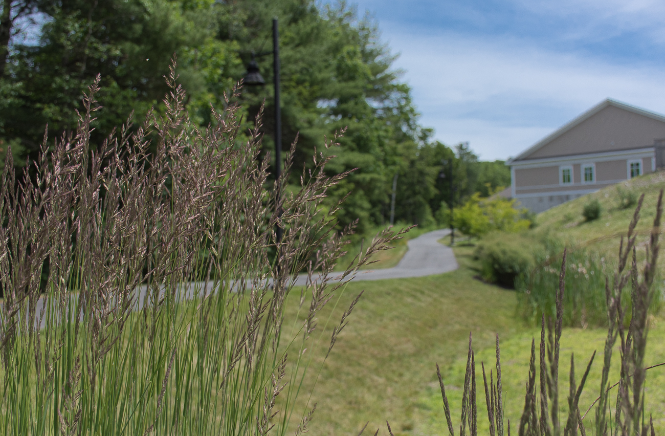 MVH Administrative Offices - Walking trail